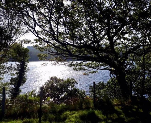 Ade'S River Cabin Lettermacaward Bagian luar foto
